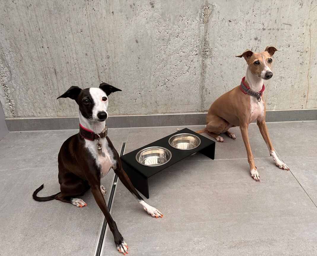 Hundenapf DUO